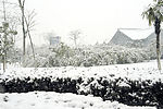 雪景