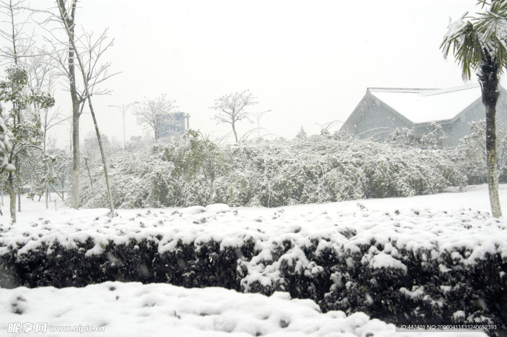 雪景