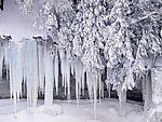 雪景