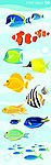 pfish 鱼