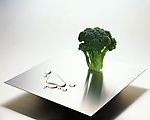 景物写真