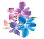 时尚色彩花卉矢量素材