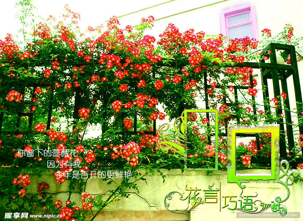 花言巧语