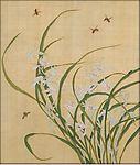 花鸟国画