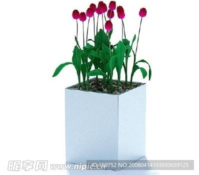极品鲜花模型三