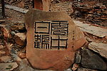云中白鹤