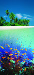 海洋