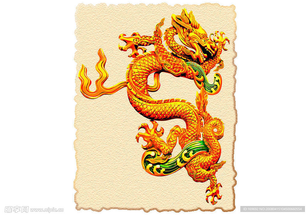 精品金龙