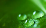 水珠
