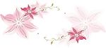 漂亮花纹