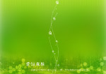 爱情森林