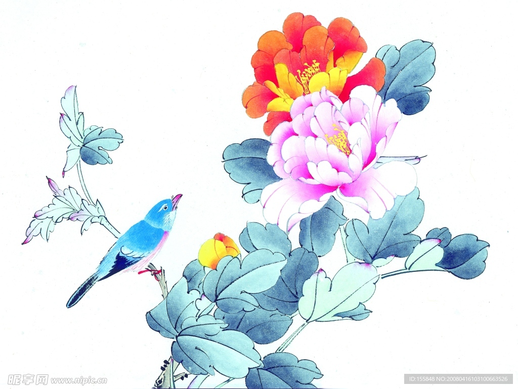 国画水彩花鸟
