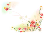 花边