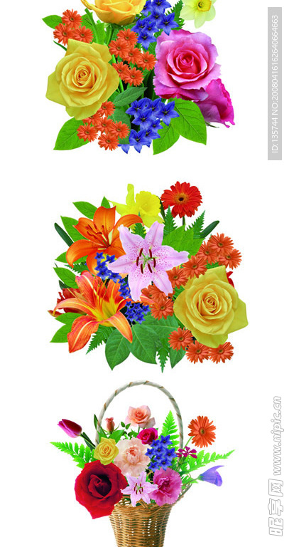 鲜花多种