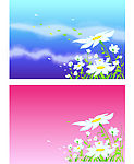 野花 背景