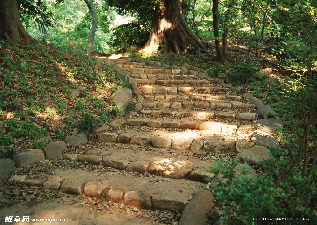 石块路