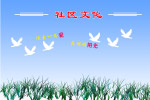 社区文化