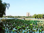 大明湖秋色