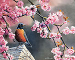 花鸟画