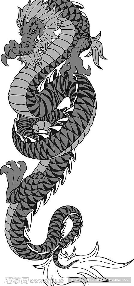 龙