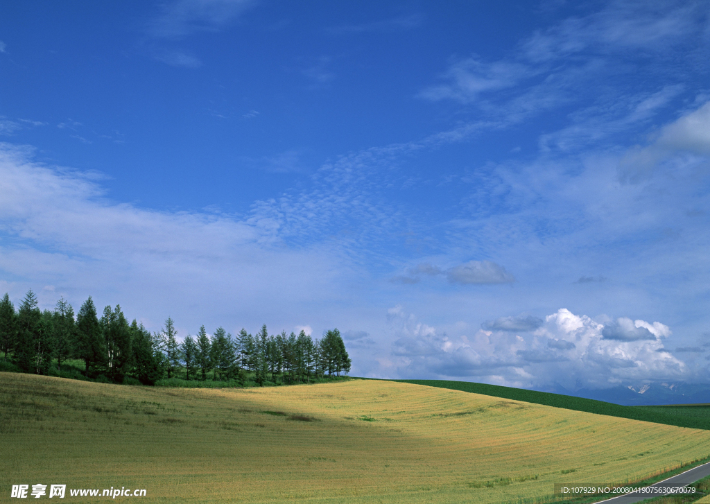 原野风景