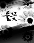黑色花纹