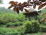 风光