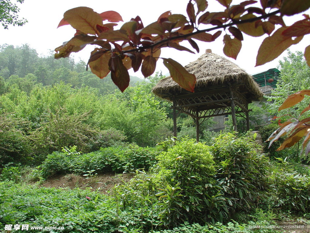 风光