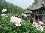 风景