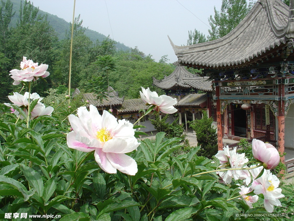 风景