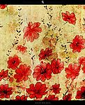 背景花朵