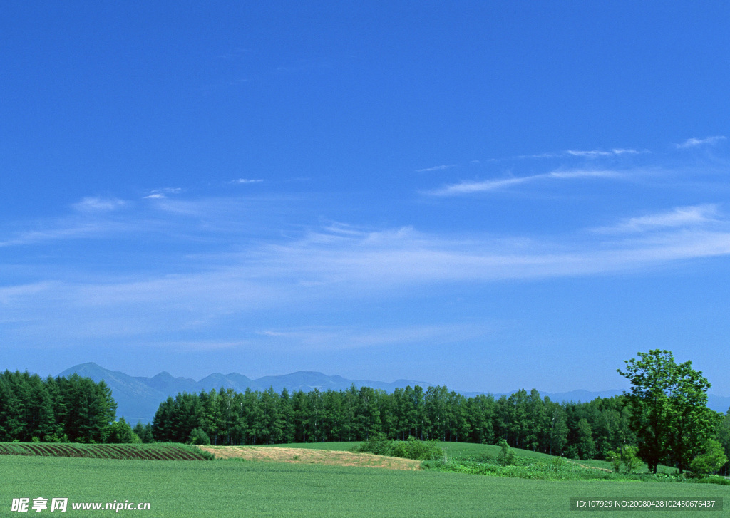 原野天空