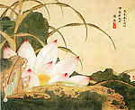 荷花图
