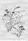 简约风格矢量植物图