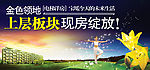 现房绽放