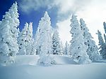 冰天雪地