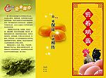 鸡蛋三折页设计