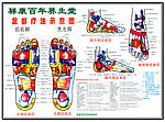 足浴穴位图（分层不精细）