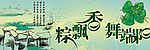 端午节粽飘香