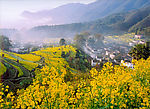 田园风景