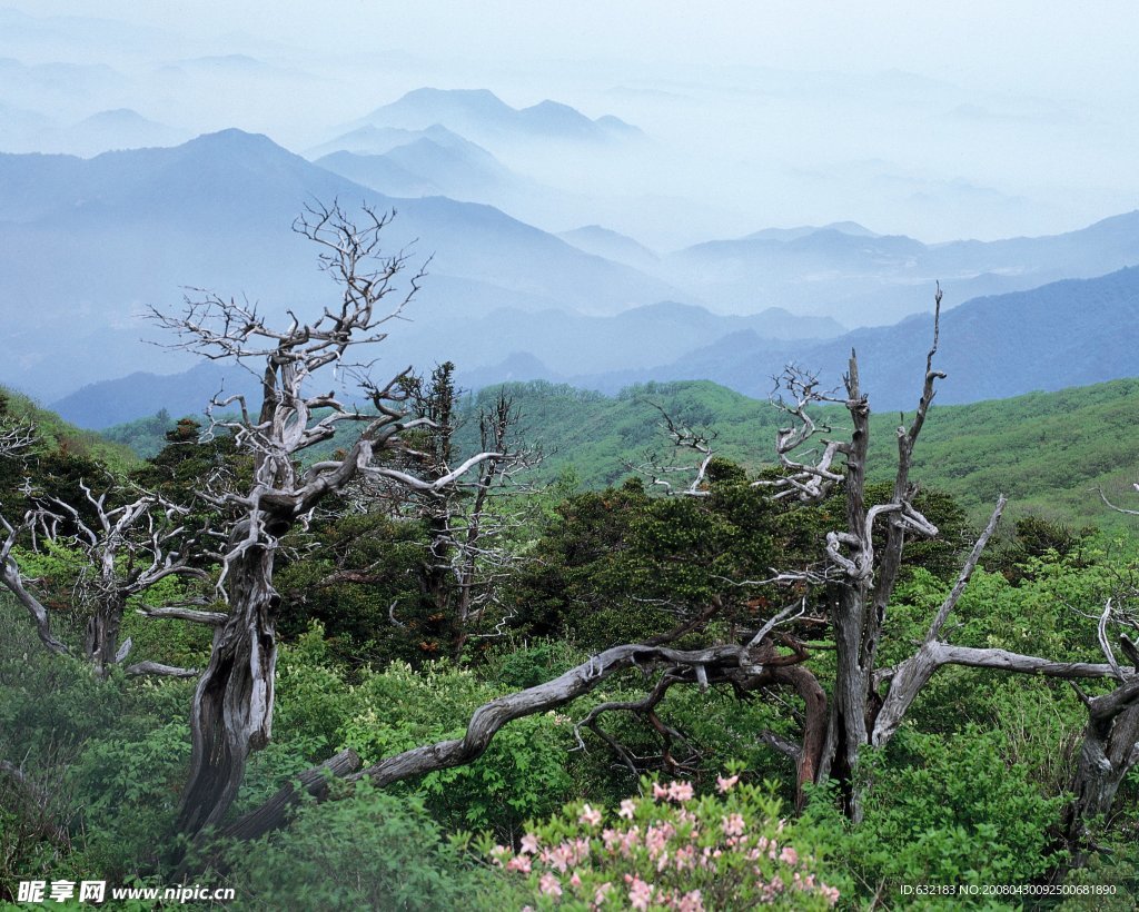 雾山