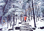 蒙山风光