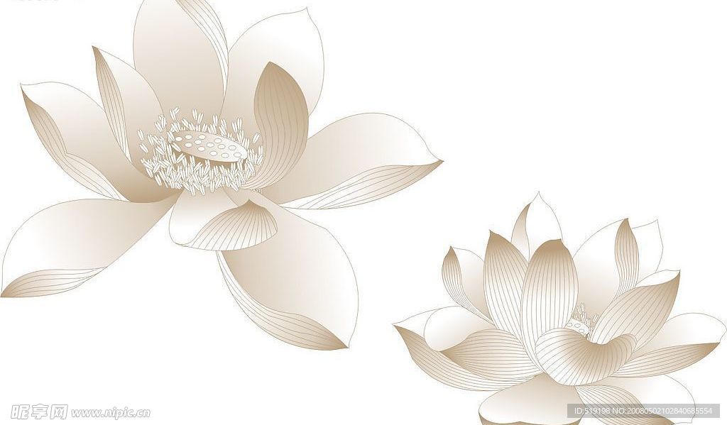 原创,自己画的荷花