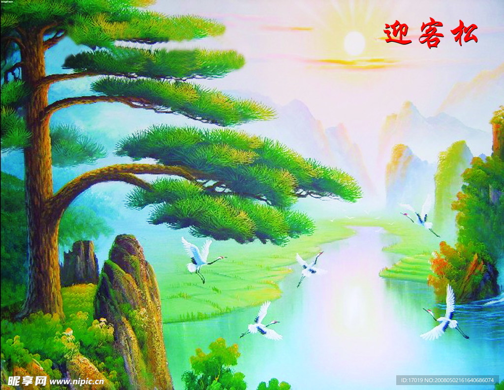 迎客松另版