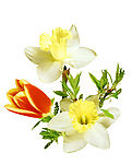 鲜花