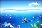 海报