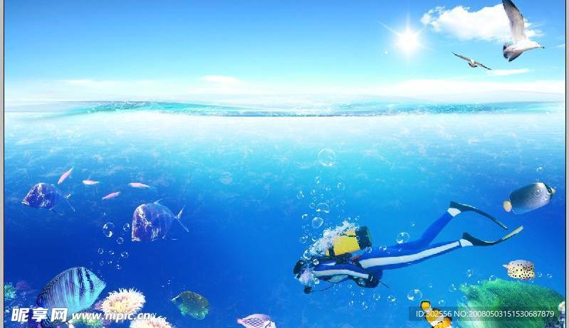 海报