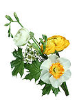 鲜花