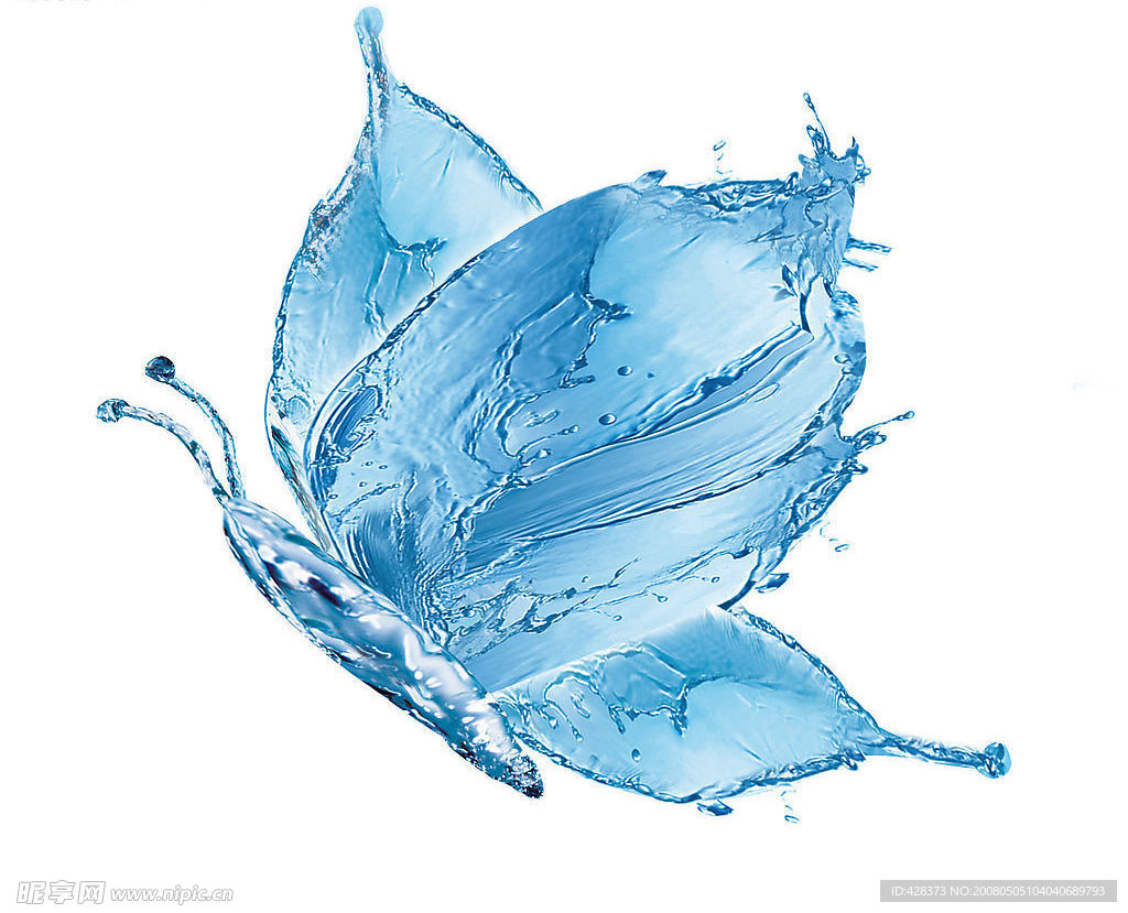 水 蝴蝶