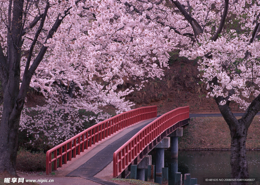 桃花桥
